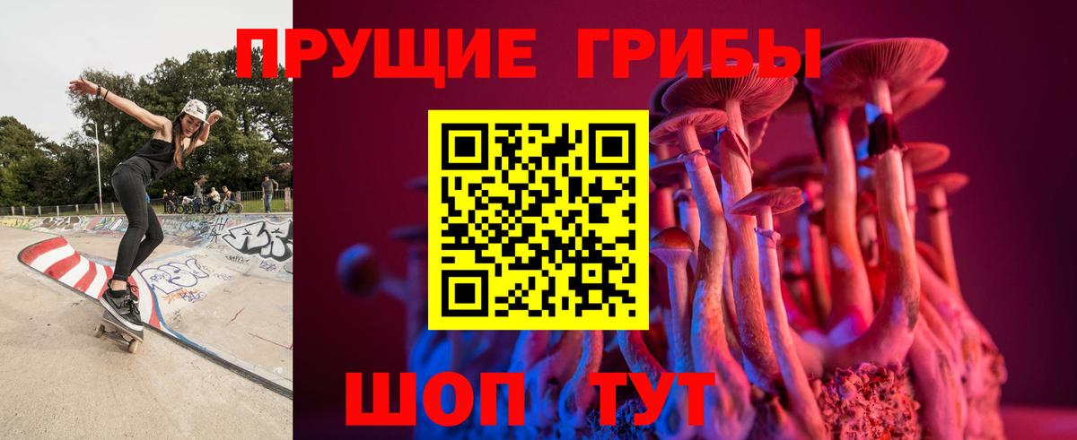 Псилоцибиновые грибы Psilocybine cubensis  Вход с VPN  Кириши  Галлюциногенные грибы мицелий 